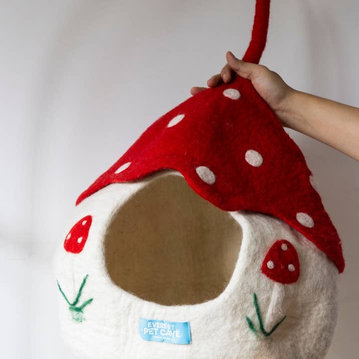 Gnome Pet Cave