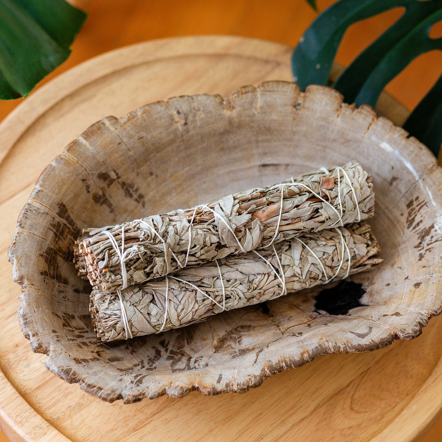 Sage Bundle