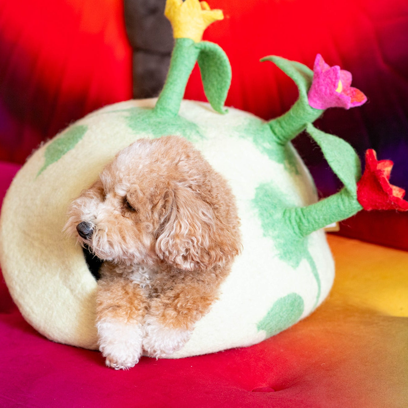 Flower Pet Cave