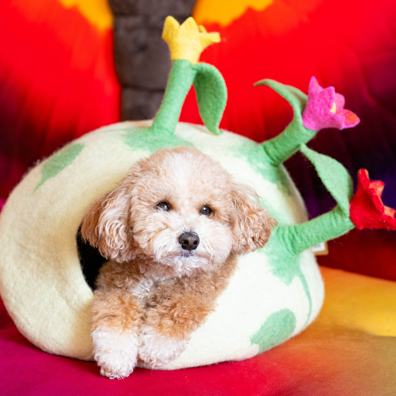 Flower Pet Cave