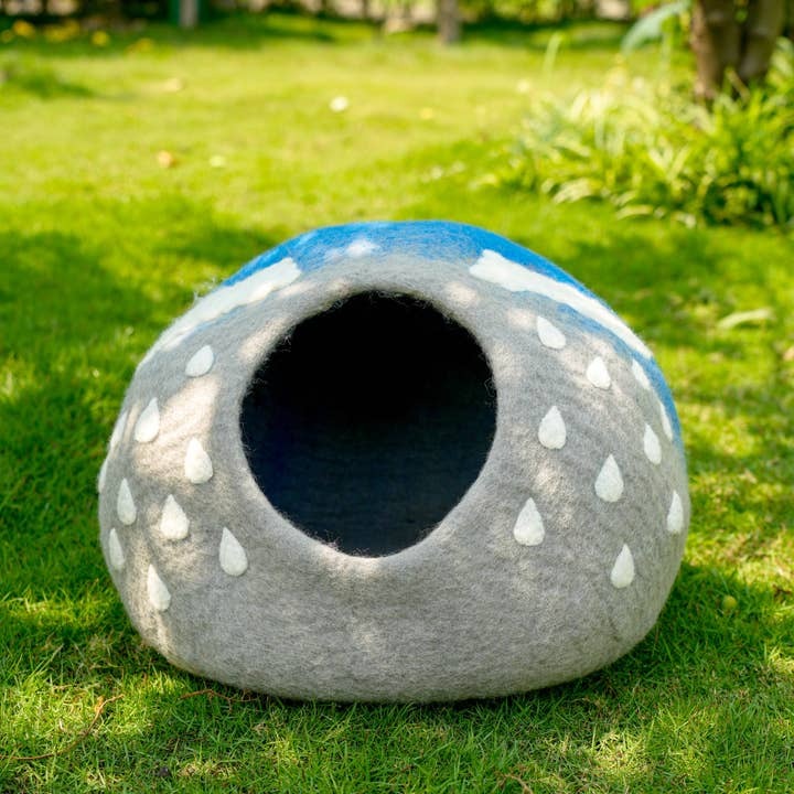 Cloud Pet Cave