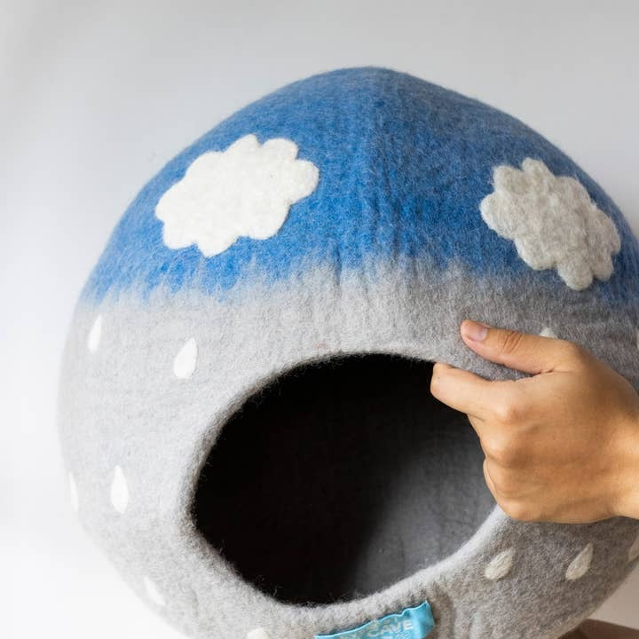 Cloud Pet Cave
