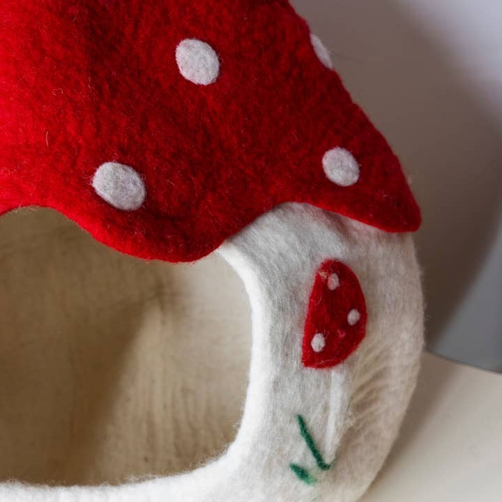 Gnome Pet Cave