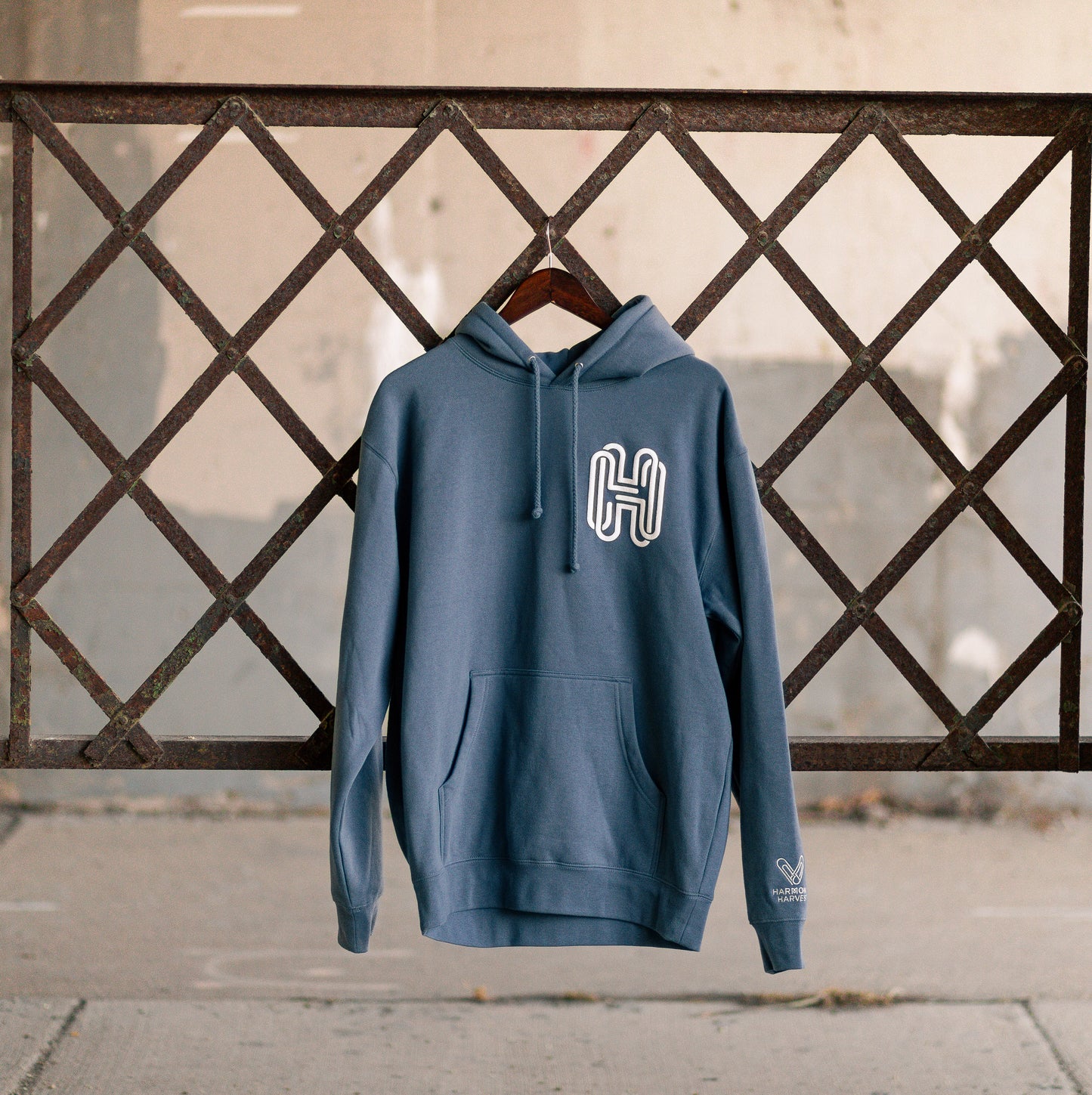 Puff Print Hoodie