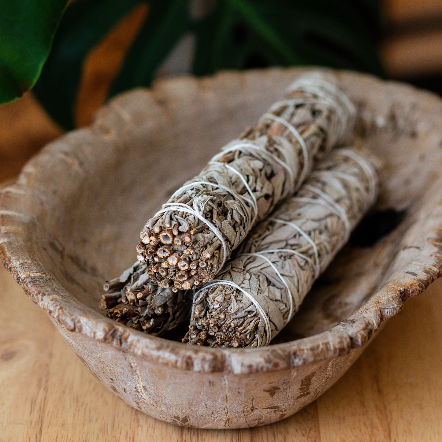 Sage Bundle