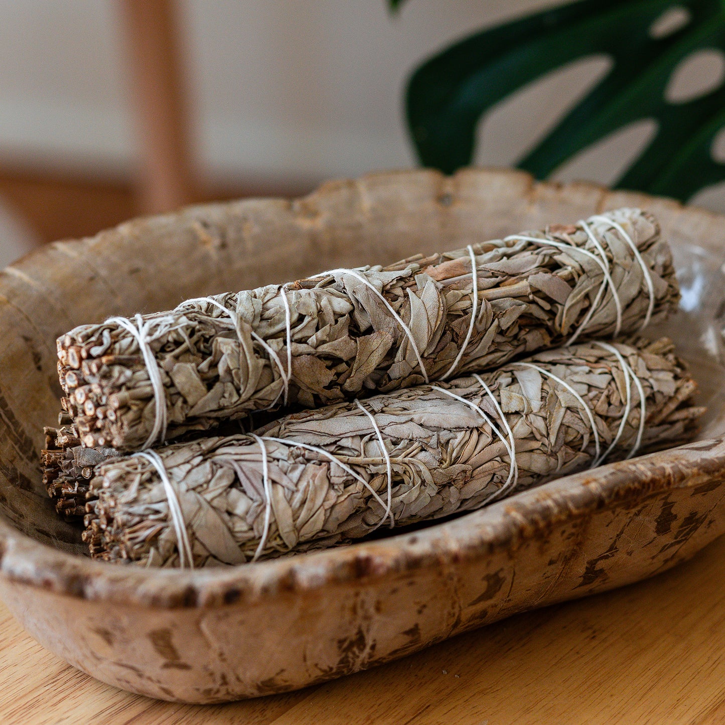 Sage Bundle